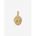Charm Pandora TALISMAN Medallón León