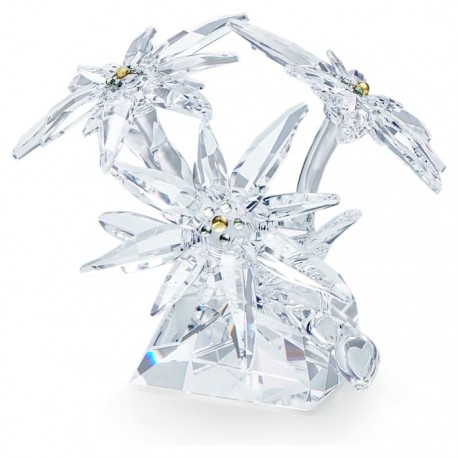 Figura Decorativa Swarovski Edelweiss SCS