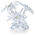 Figura Decorativa Swarovski Edelweiss SCS