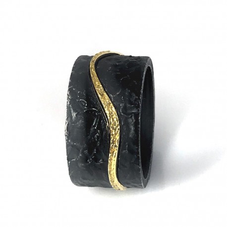 Anillo curva