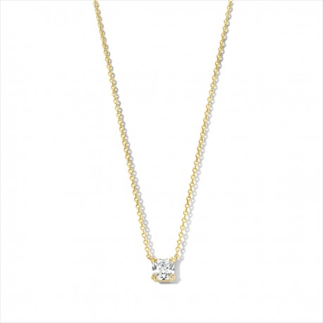 Cadena + Colgante de Plata baño oro Naiomy B1P05