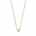 Cadena + Colgante de Plata baño oro Naiomy B1P05