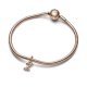 Charm Pandora Letra Minúscula Z